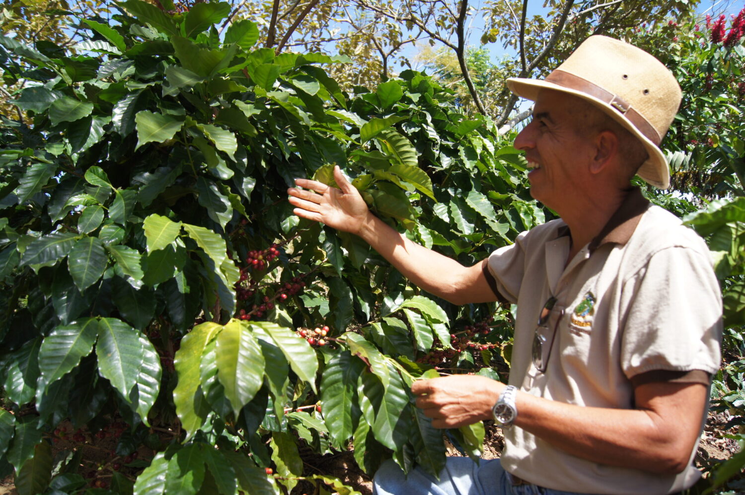 Don Herberth Chacón. Las Peñas.