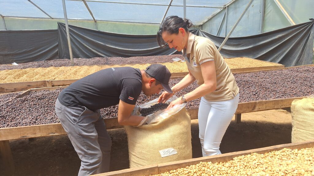 Fully washed, Black Honey of Natural? Is dit koffie?